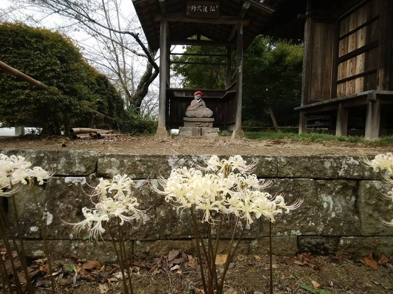 弘経寺 (常総市) 常総市/茨城県 Omairi(おまいり)