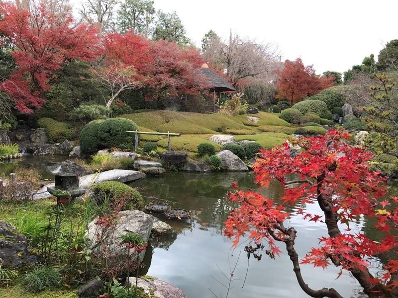 退蔵院 (妙心寺塔頭),京都府京都市右京区花園妙心寺町35