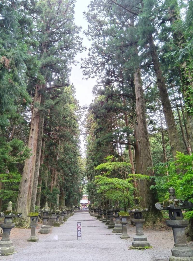 北口本宮冨士浅間神社,山梨県富士吉田市上吉田5558