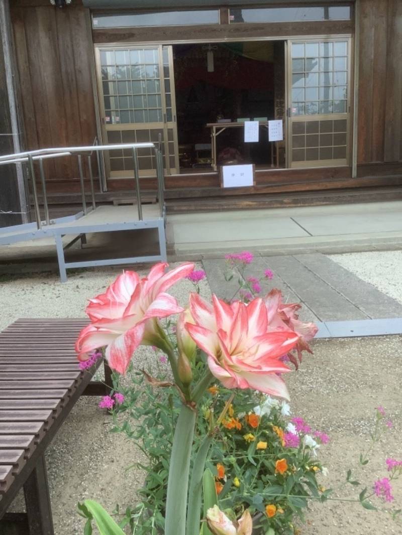 安穏寺,愛知県丹羽郡扶桑町高雄字中郷335