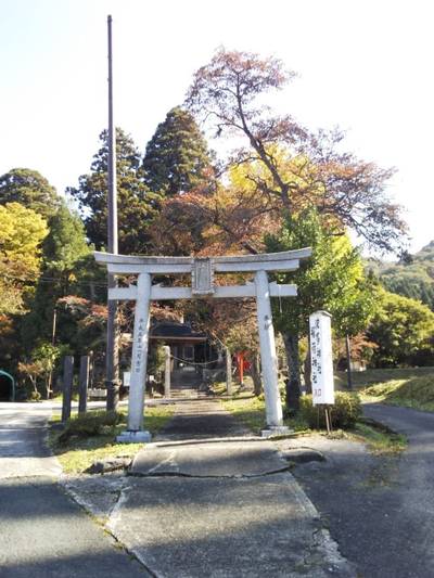 波多神社,見どころ,まちゃき