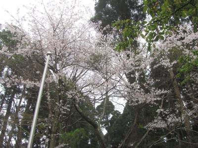 東源寺,見どころ,鉄十字