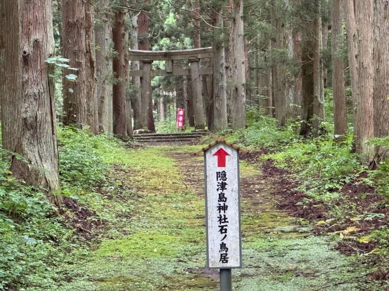 隠津島神社,福島県郡山市湖南町福良字福良山7414番地
