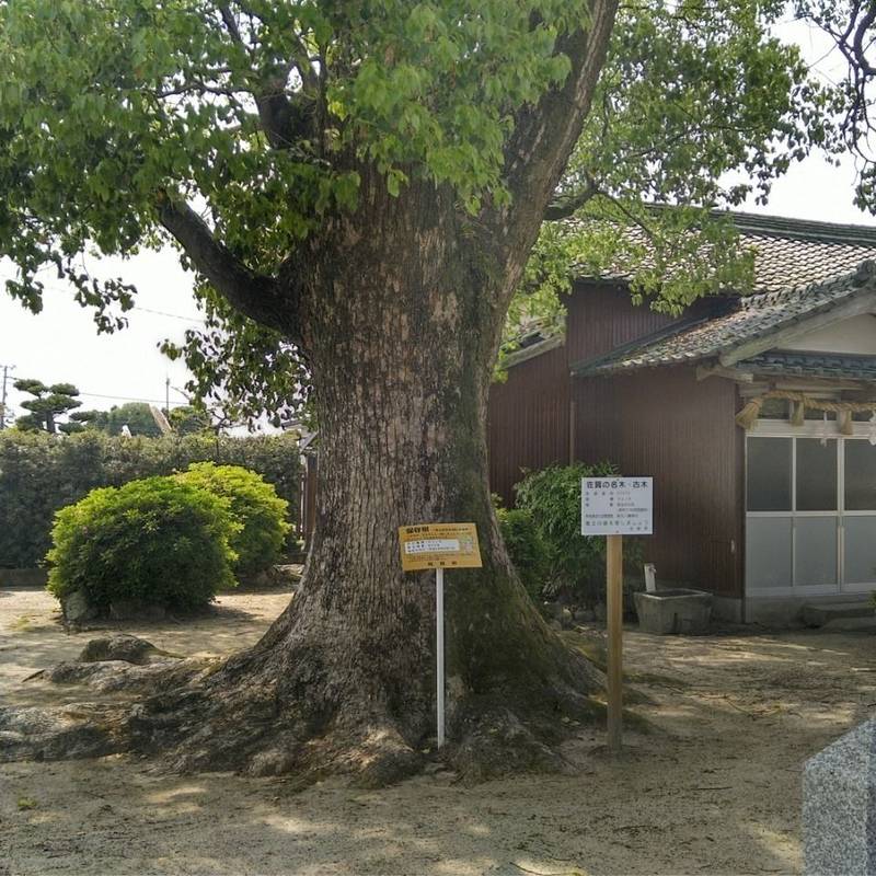新庄八幡神社,佐賀県佐賀市鍋島町大字森田2028