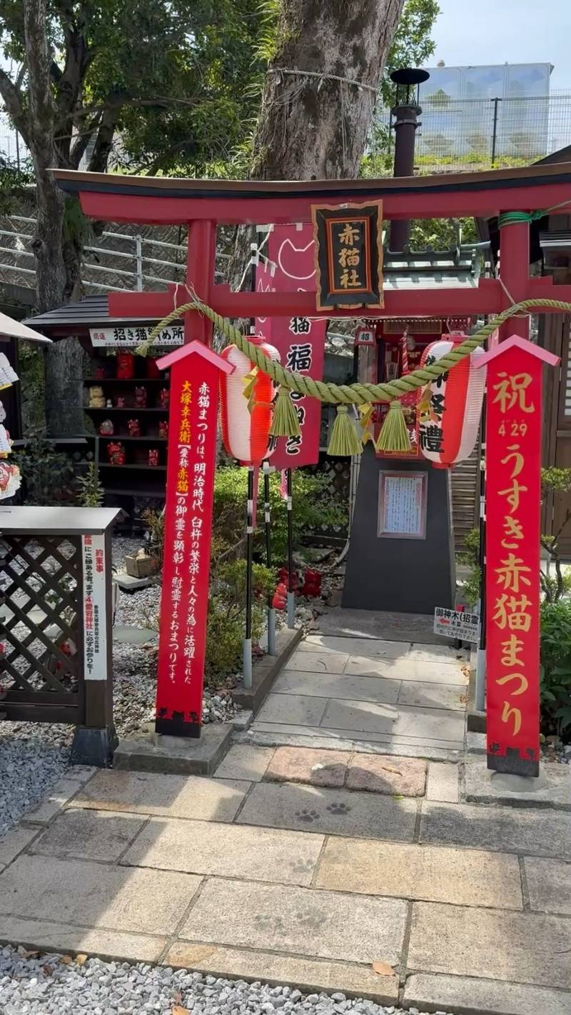 招霊赤猫社,大分県臼杵市大字福良211