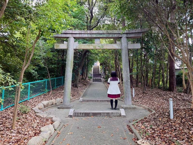 八ツ尾八幡社,愛知県名古屋市緑区八つ松１丁目９３４