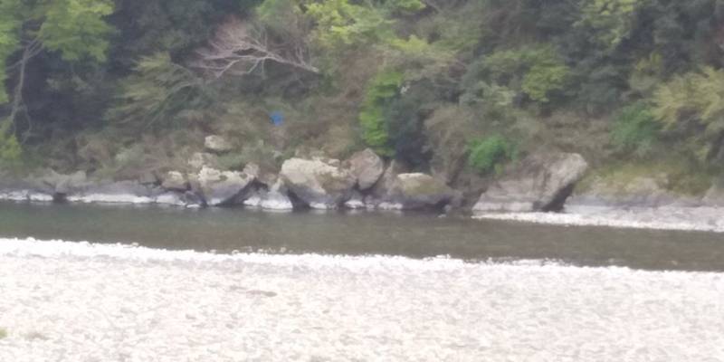 恵比寿堂神社,三重県多気郡多気町相鹿瀬６１５