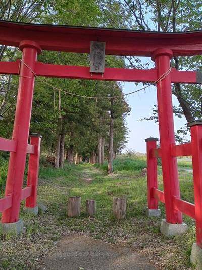 八幡神社,見どころ,Fit96