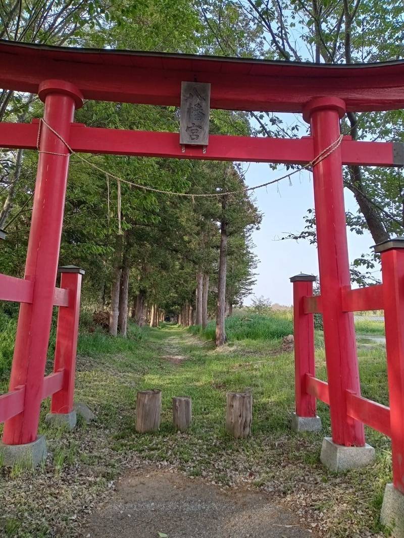 八幡神社,千葉県佐倉市将門町62-2