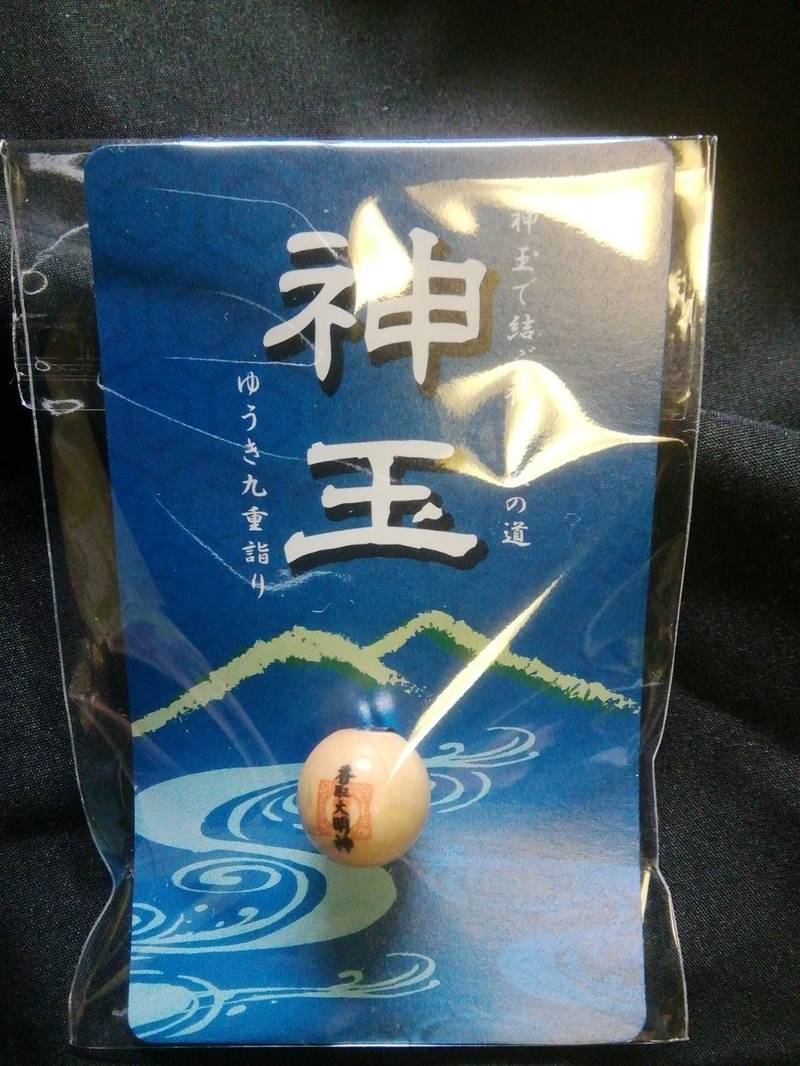 香取大明神,茨城県常総市向石下15