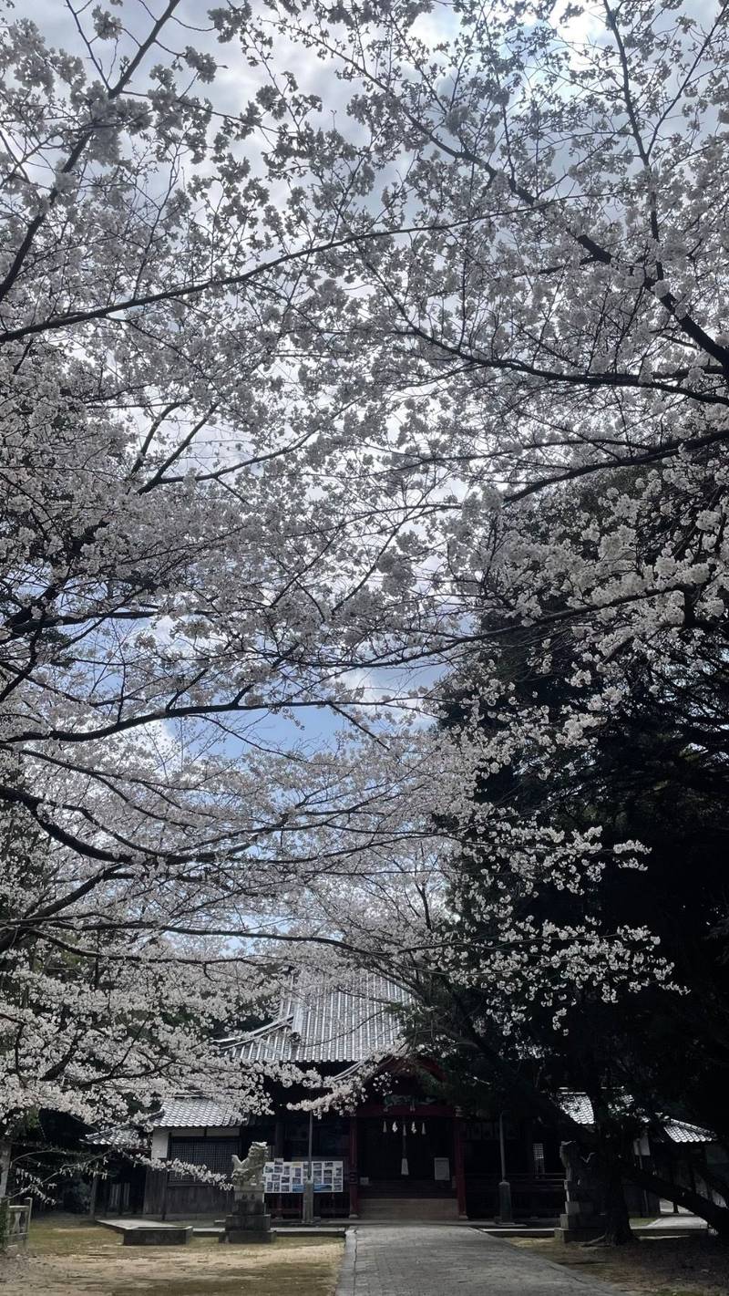 八田八幡宮,山口県大島郡周防大島町大字久賀向津原2563-1