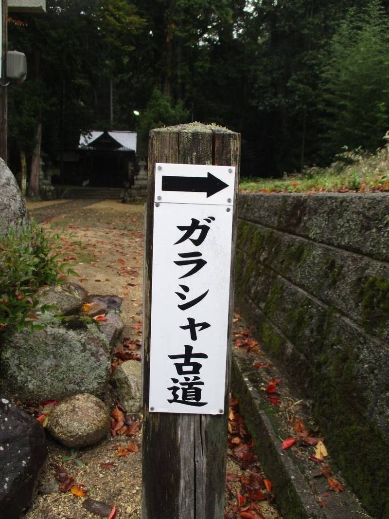若田神社,京都府宮津市日置２４６４