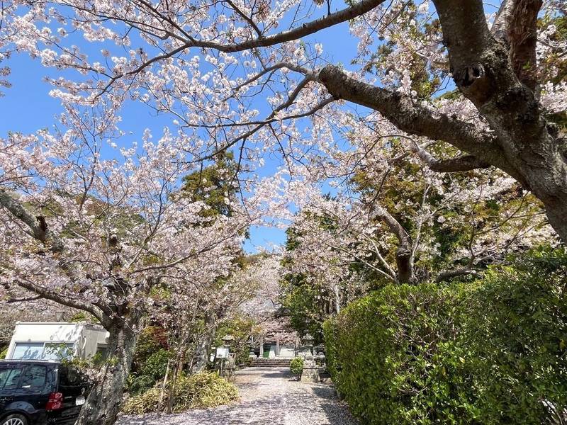 法久山 妙光寺 (逗子市),神奈川県逗子市久木6-1-6