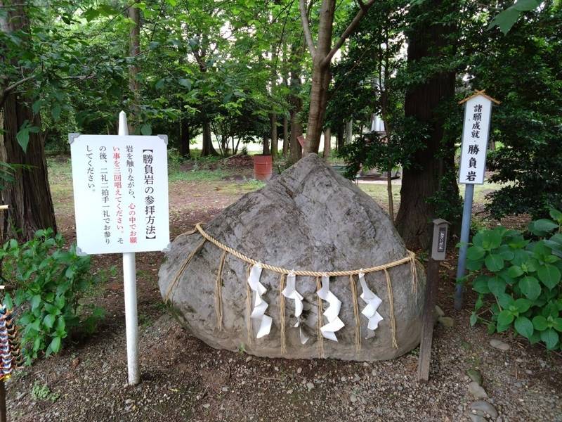 結城諏訪神社,茨城県結城市大字上山川161-1