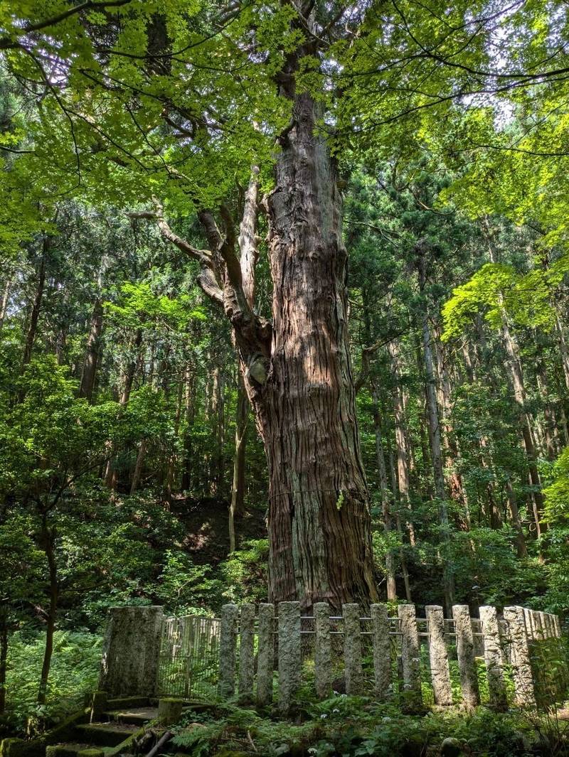 宝光院,新潟県西蒲原郡弥彦村大字弥彦2860-2