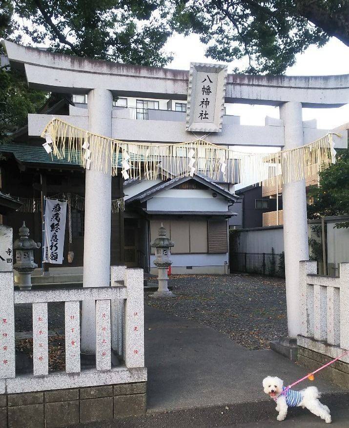 八幡神社  (駿河区寺田),静岡県静岡市駿河区寺田72