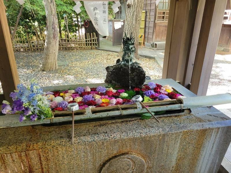 世田谷八幡宮,東京都世田谷区宮坂一丁目26番3号