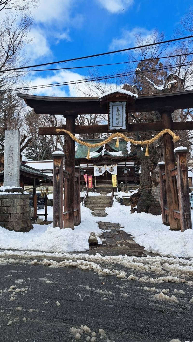 妻科神社,長野県長野市南長野妻科２１８