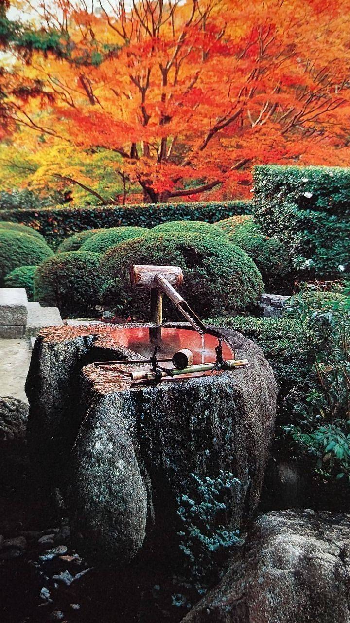 成就院 (清水寺本坊),京都府京都市東山区清水1-294
