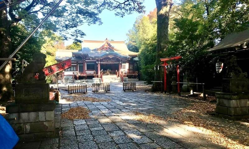 武蔵野八幡宮 武蔵野市 東京都 Omairi おまいり