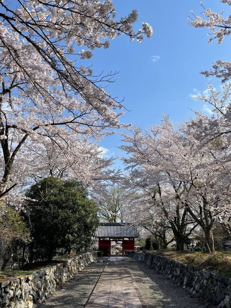 酒波寺,滋賀県高島市今津町酒波