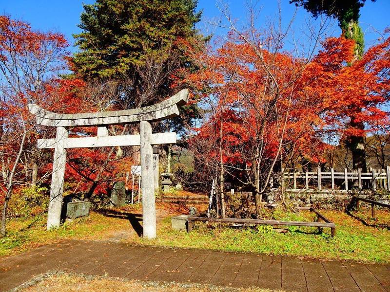 新城藤原神社の見どころ