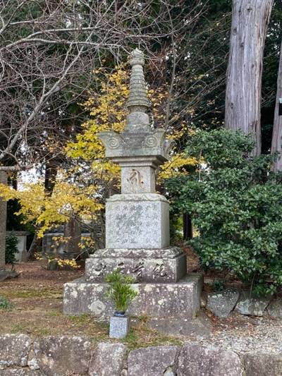 浄林寺,見どころ,さかちゃん