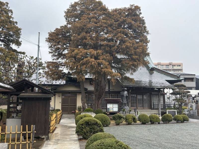 圓光院,神奈川県伊勢原市石田928番地