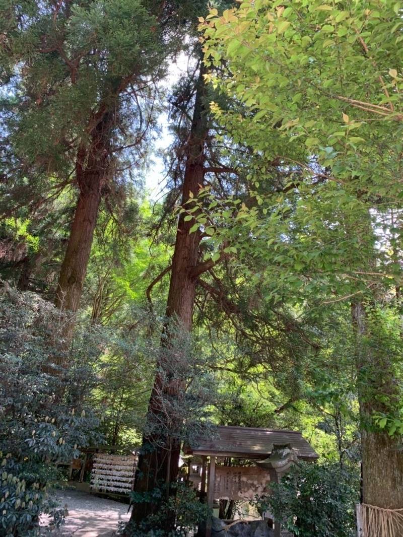 荒立神社の御朱印