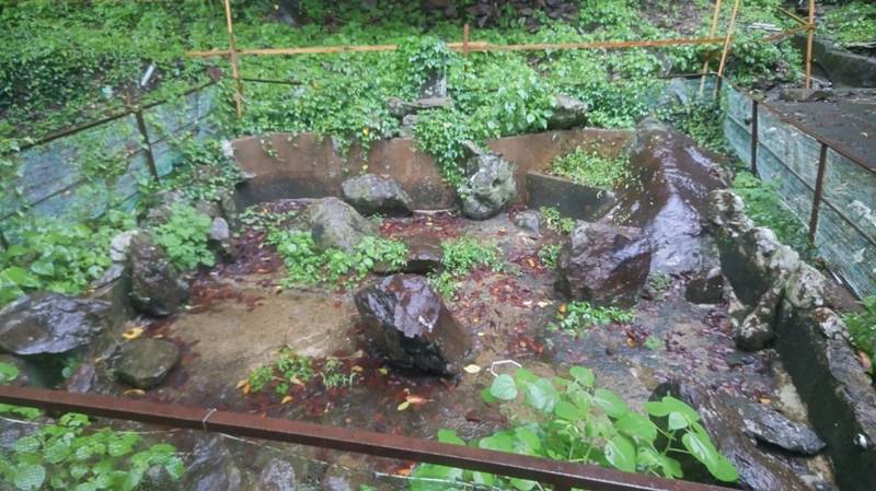 大野神社,長崎県長崎市下大野町２２３２