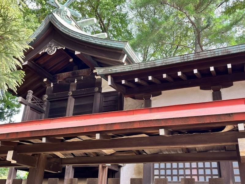 熊野神社,埼玉県所沢市西新井町17-33