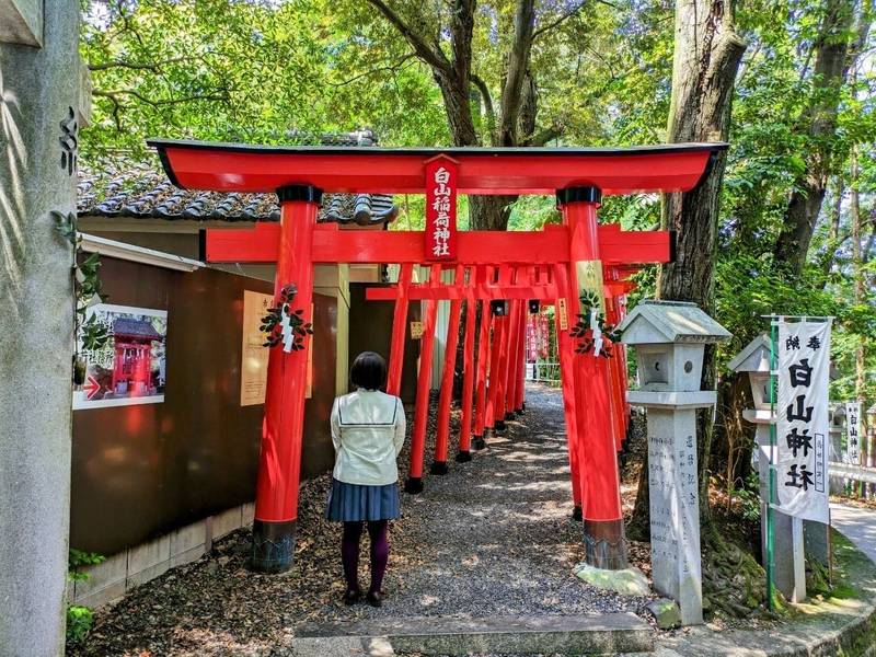 白山稲荷神社,愛知県春日井市白山町9丁目2番地