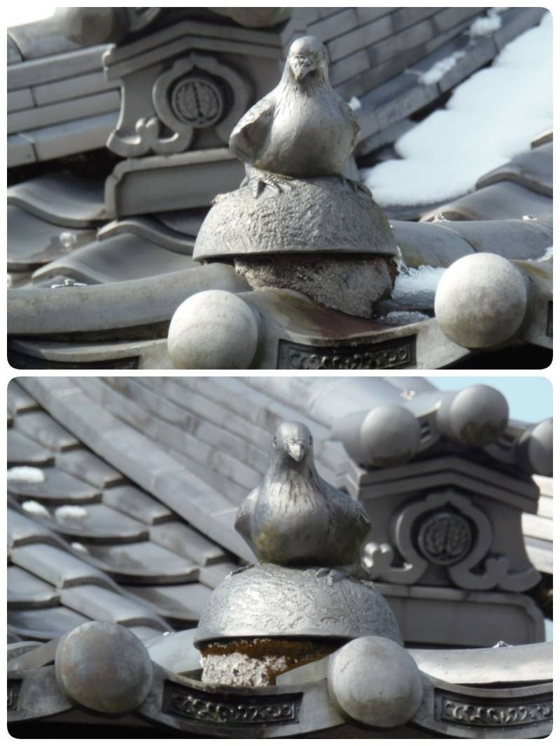 金武神社,佐賀県伊万里市二里町中里甲38