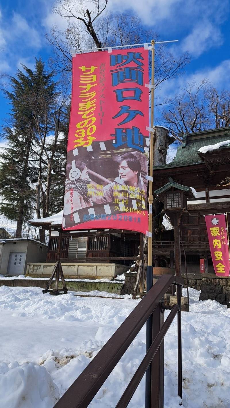 妻科神社,長野県長野市南長野妻科２１８