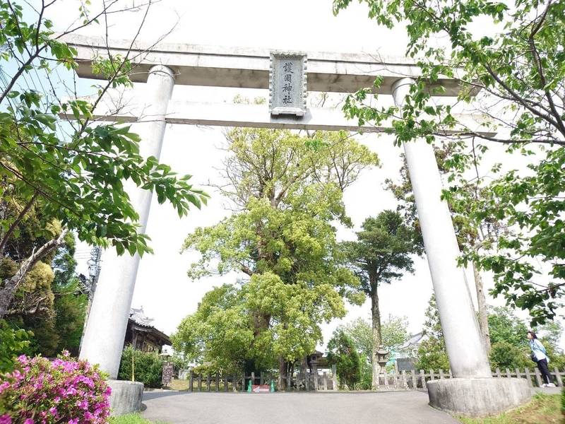 平戸護国神社,長崎県平戸市岩の上町１５１７