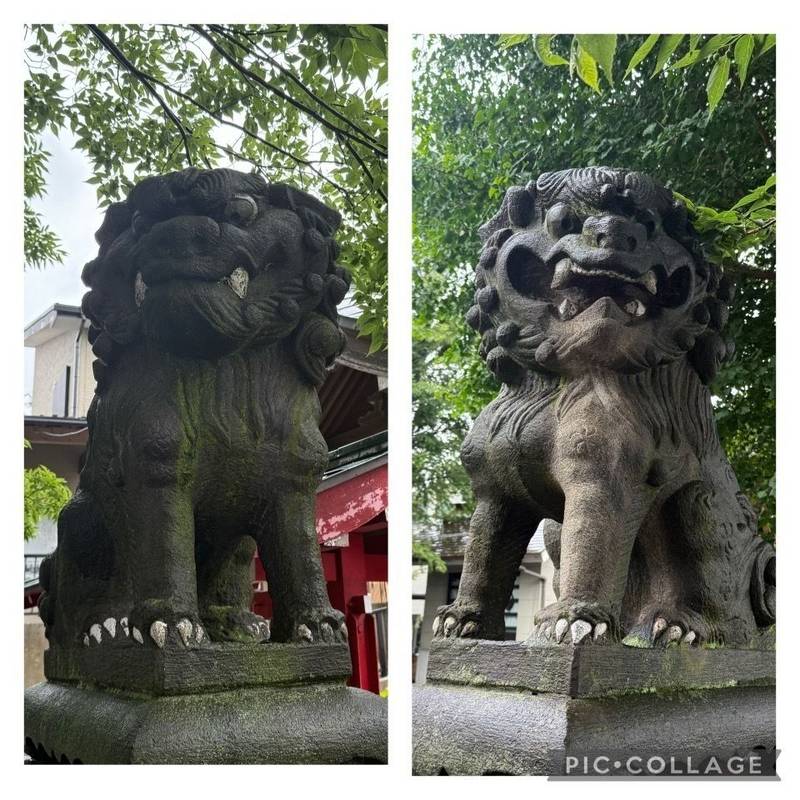 瀧野川八幡神社,東京都北区滝野川5-26-15