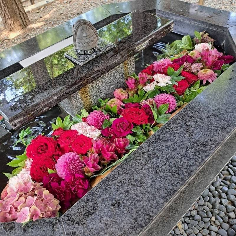 新琴似神社,北海道札幌市北区新琴似8条3丁目1-6