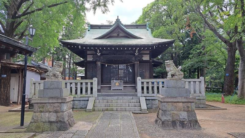 小杉神社,神奈川県川崎市中原区小杉御殿町1ｰ1010