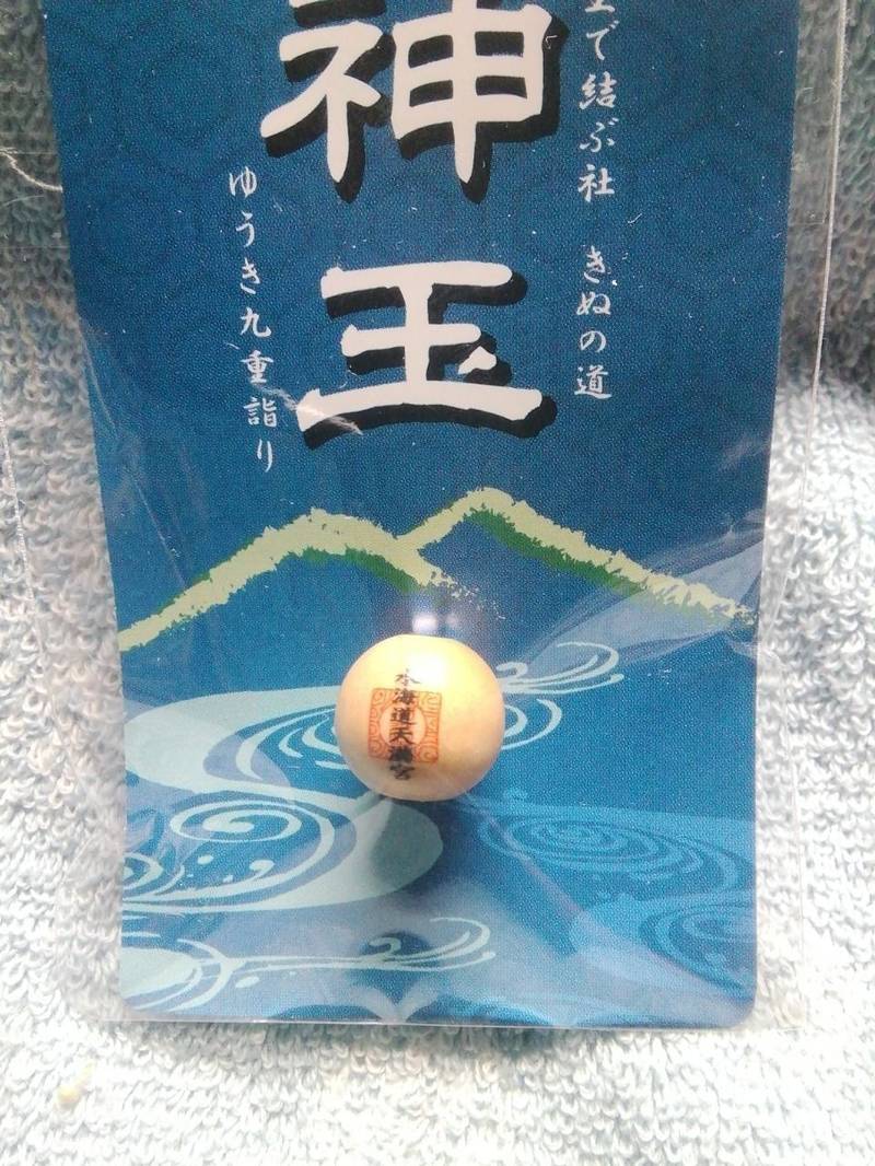 水海道天満宮   (水海道天神社),茨城県常総市水海道天満宮町2487