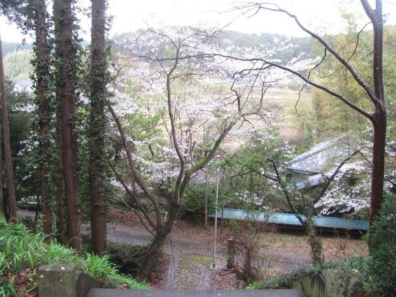 東源寺,千葉県山武市雨坪82
