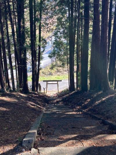 大山津見神社,見どころ,waiwai