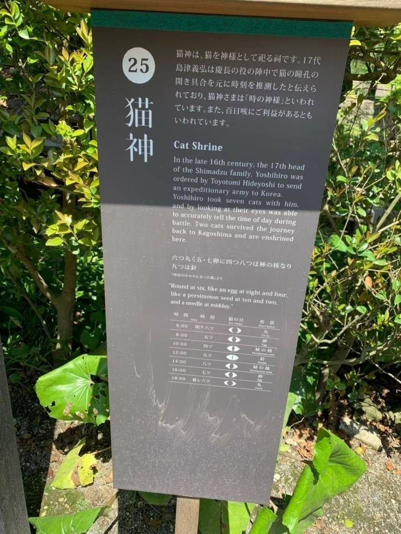 猫神神社 鹿児島市 鹿児島県 の見どころ 平成 By さとすけ Omairi おまいり 猫神神社 鹿児島市 鹿児島県 の見どころ 平成 By さとすけ Omairi おまいり