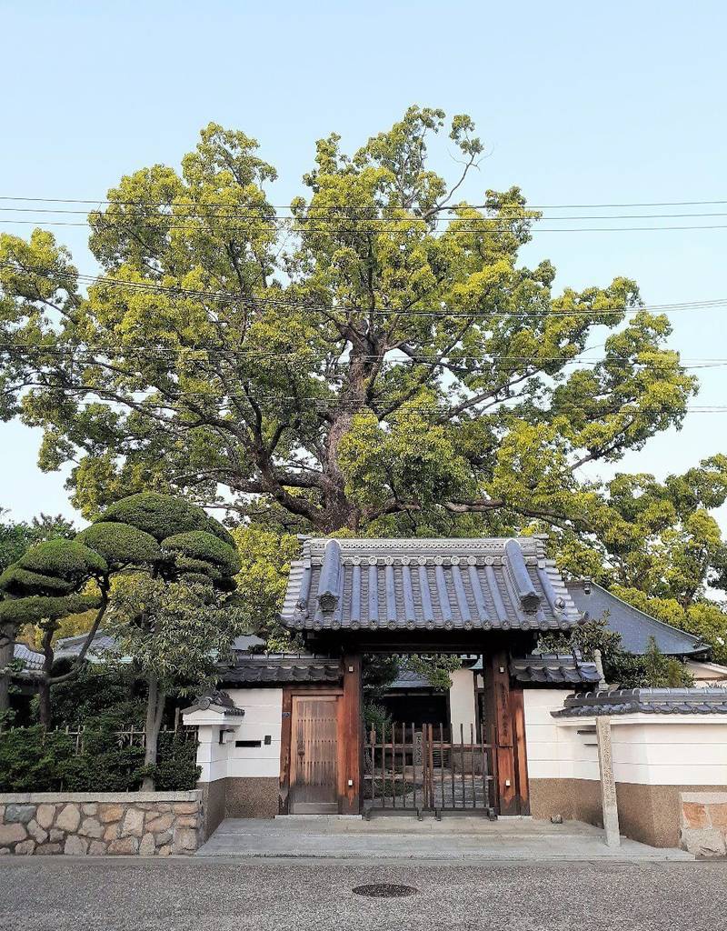 發音寺   (発音寺),兵庫県伊丹市春日丘４－７