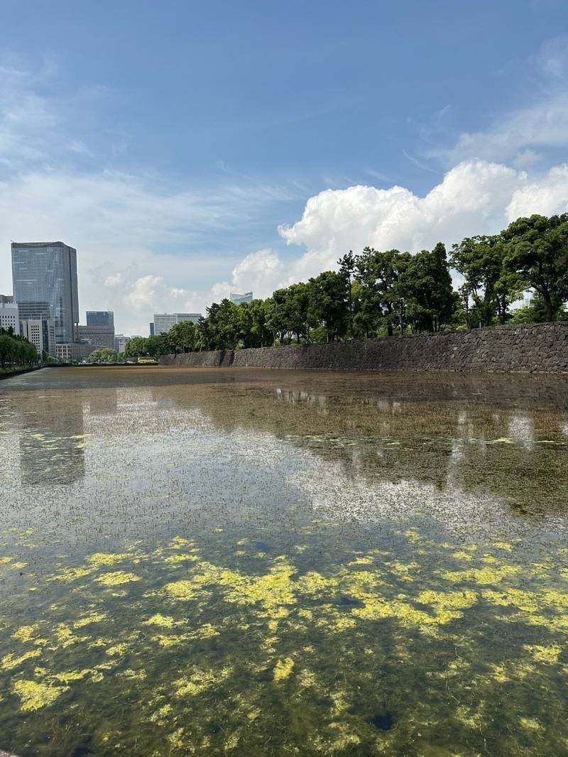 江戸城,東京都千代田区千代田
