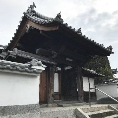 天祥寺,見どころ,Y.Shiraga
