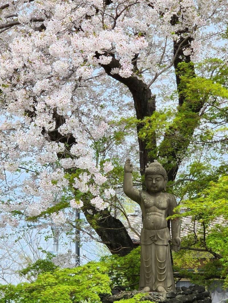大楽寺,茨城県常総市水海道橋本町３３４６