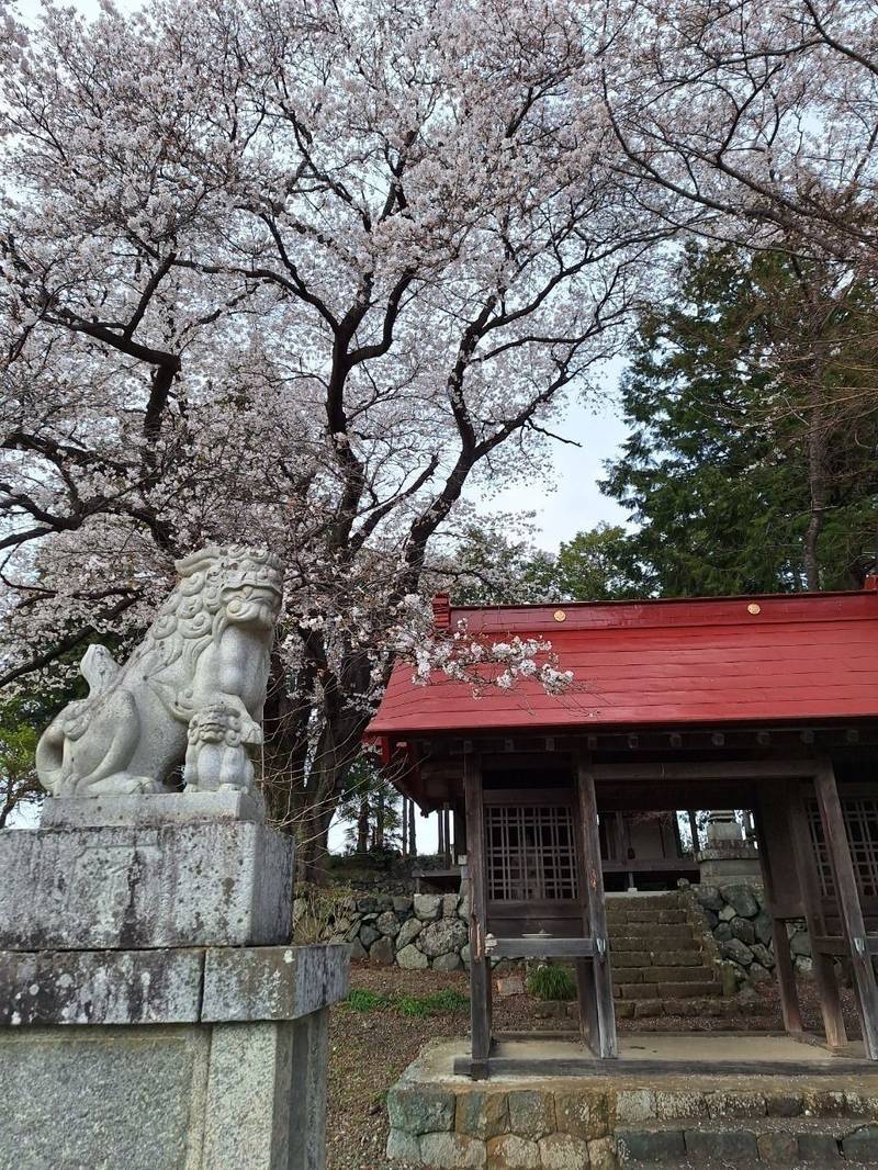 諏訪神社,山梨県南アルプス市中野1277