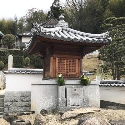 天祥寺,見どころ,Y.Shiraga