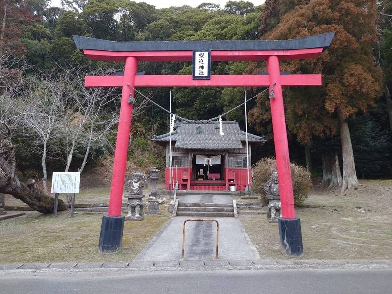 櫻迫神社,鹿児島県肝属郡肝付町宮下1647