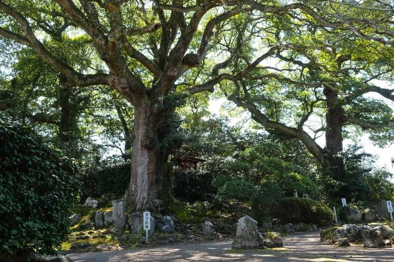 蚶満寺の授与品